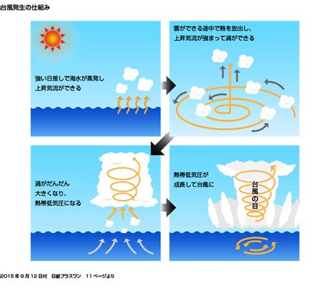 台風 水|台風のしくみ（知る防災）